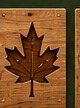 Fall panel