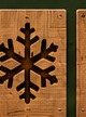 Winter panel